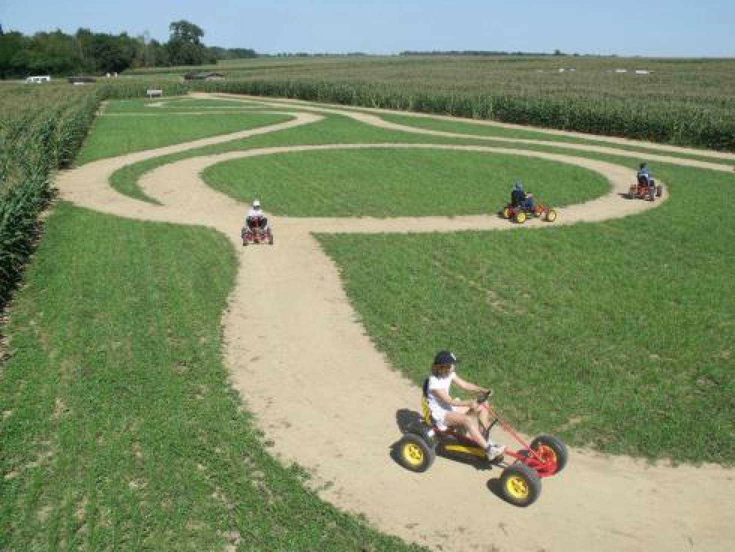 Labyrinthe végétal, au milieu des maïs