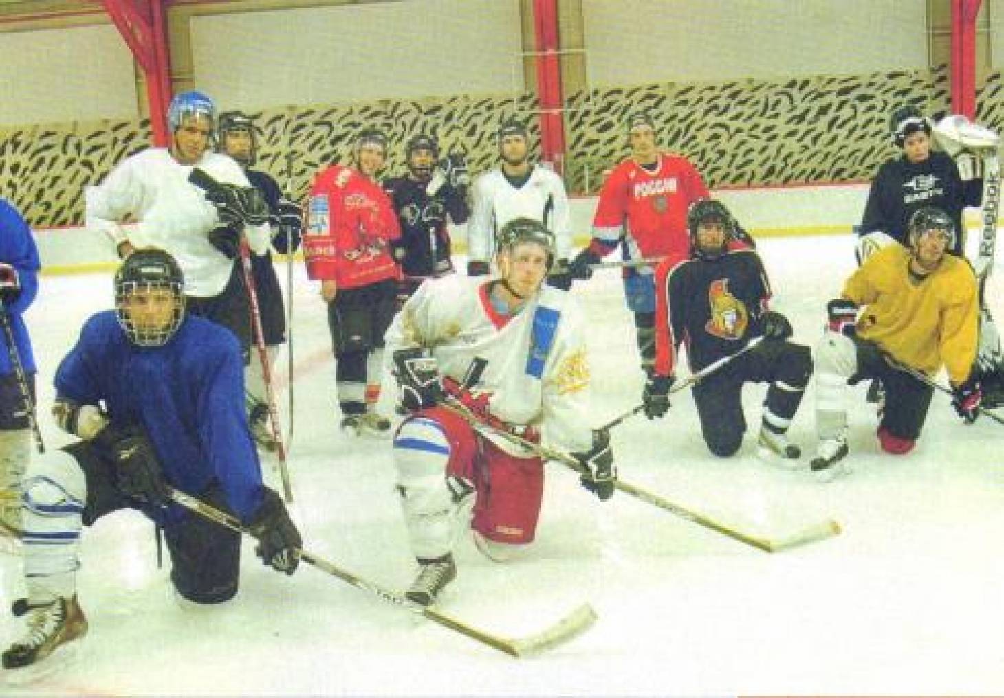 Les Dragons chauffent la glace