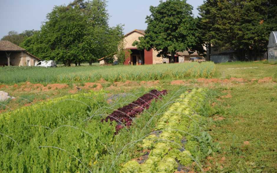 Emmaüs Maisoncelle : un printemps
à la Ferme