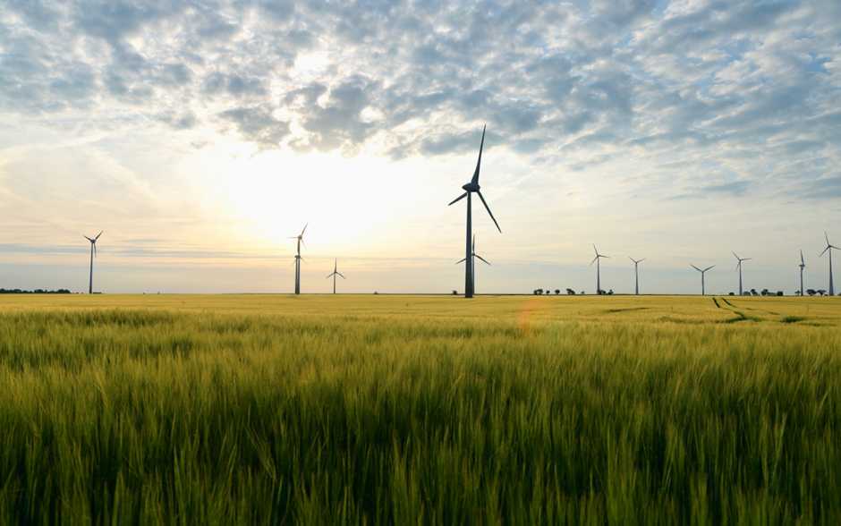 Ces éoliennes qui divisent