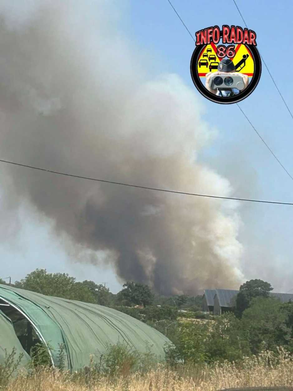 Un feu de végétation ravage près de 80 hectares à Lathus-Saint-Rémy