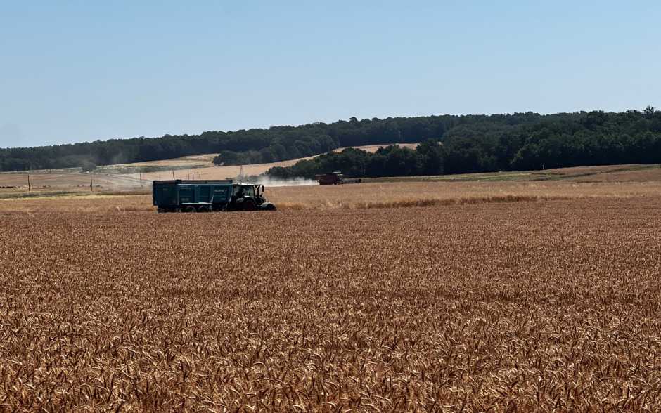Risques de feux de forêt : la préfecture interdit plusieurs activités