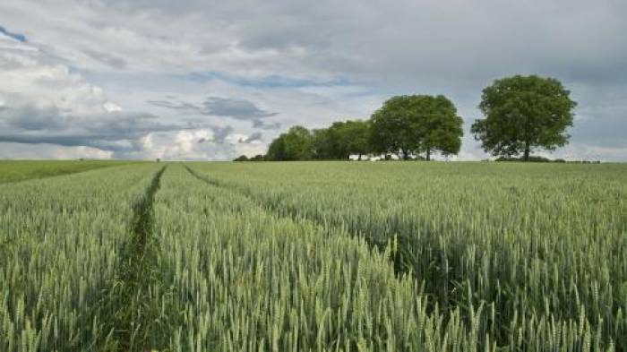 La « nouvelle agriculture » suscite l’optimisme