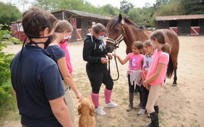 Les centres équestres au petit trot