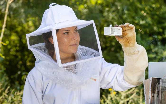 Fille d’apiculteur et chercheuse engagée