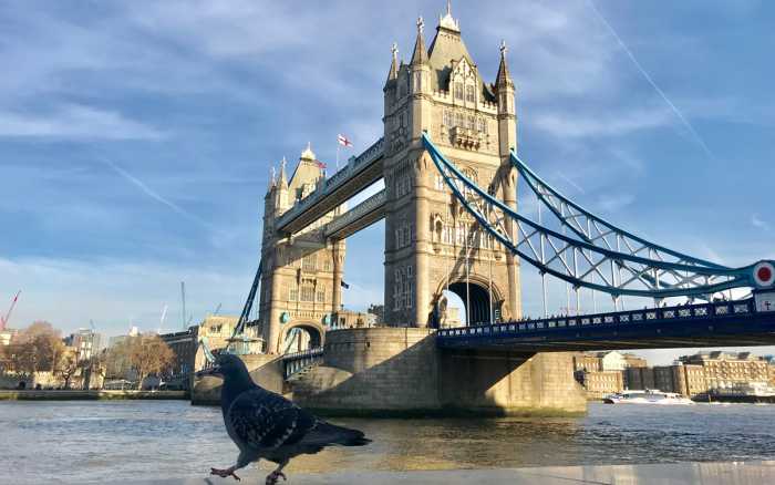 Brexit/Erasmus : les portes se ferment vers le Royaume-Uni