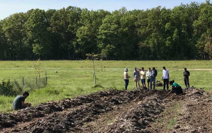 Un potager solidaire à la fac