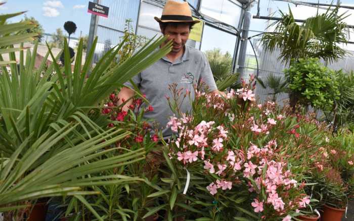 La véranda, un jardin toutes saisons