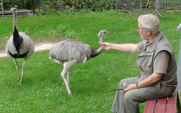 Des oiseaux et un homme