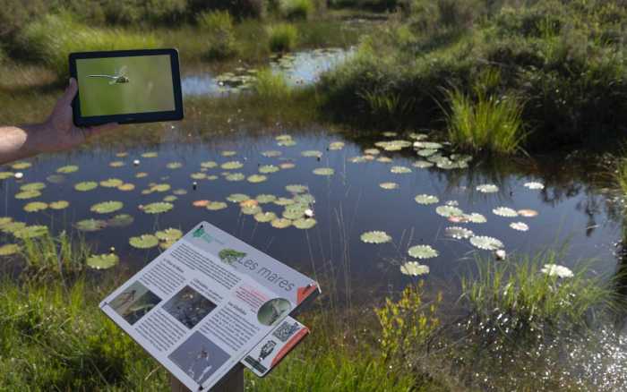 Le Pinail, la biodiversité grandeur nature