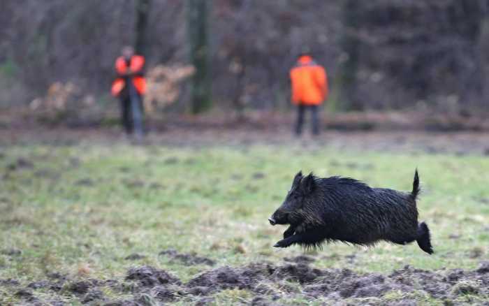 Veillée d'armes pour les chasseurs