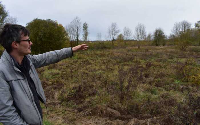 Une forêt plus vraie que nature