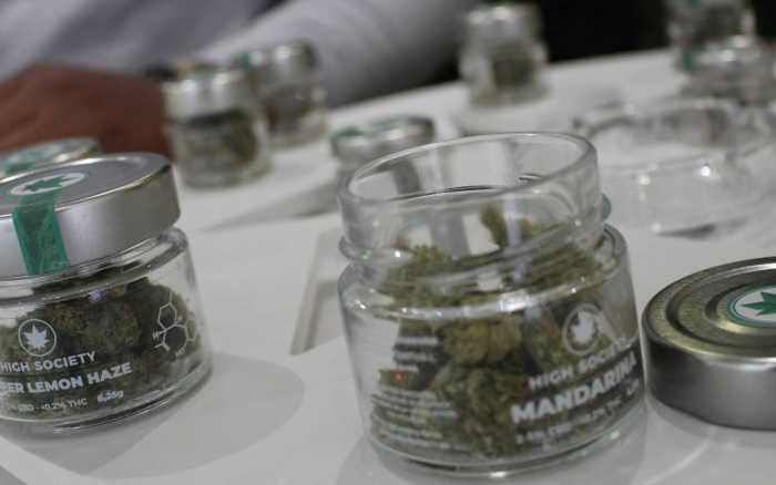 CBD : coup de froid sur la filière
