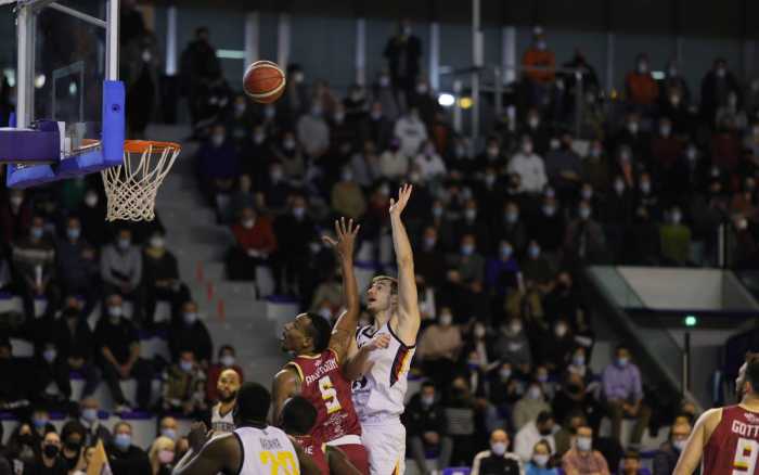 Basket - Toulouse cuit à l’étouffée