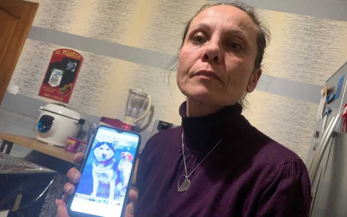 Elle remue ciel et terre pour ses chiennes