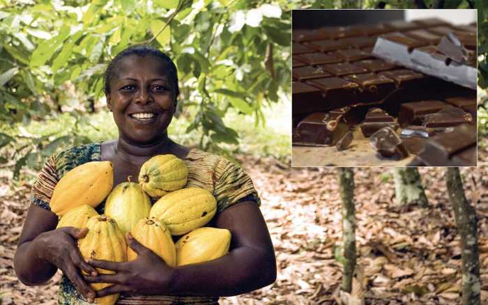 Le chocolat dans tous ses états