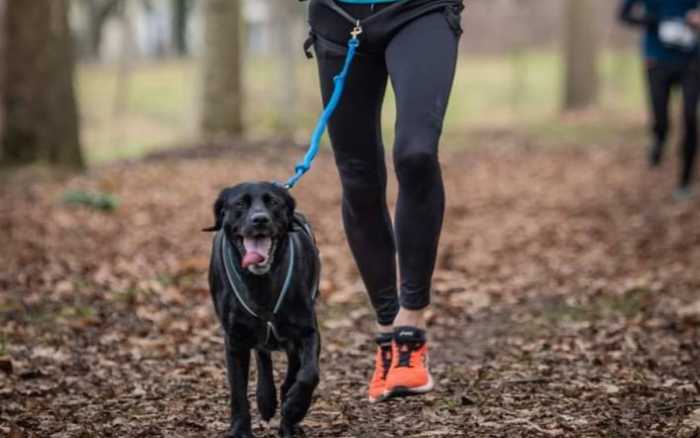 Quand le sport a du chien