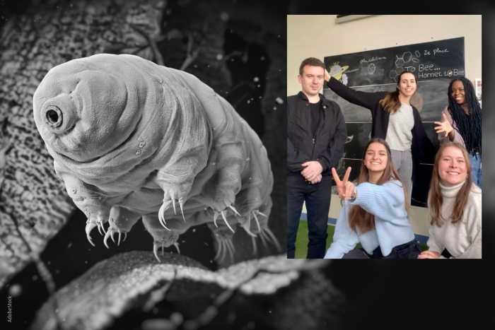 Les super-pouvoirs du tardigrade