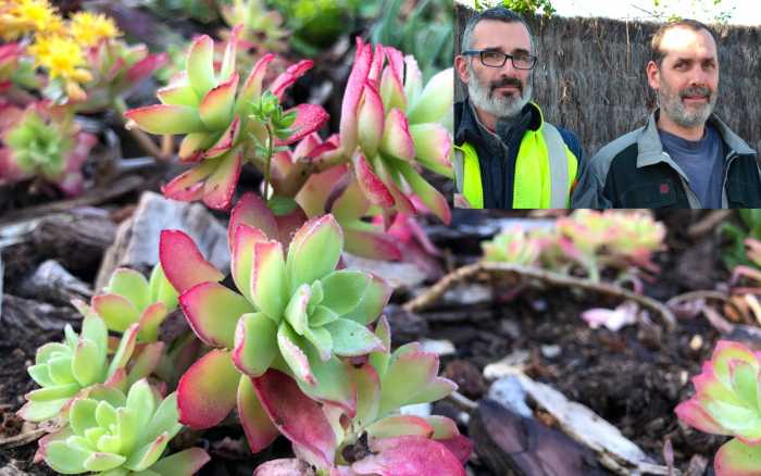 Les plantes au régime sec