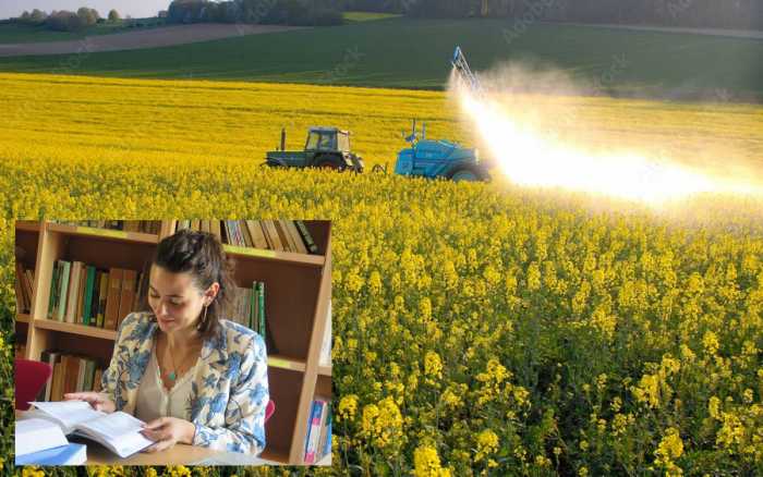 Les pesticides  dans le champ du droit