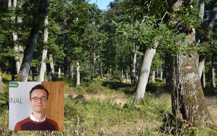Lutte contre les incendies - Antoine Bled (ONF) : « Privilégier les forêts mosaïques »