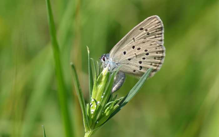 Biodiversité-climat, même combat