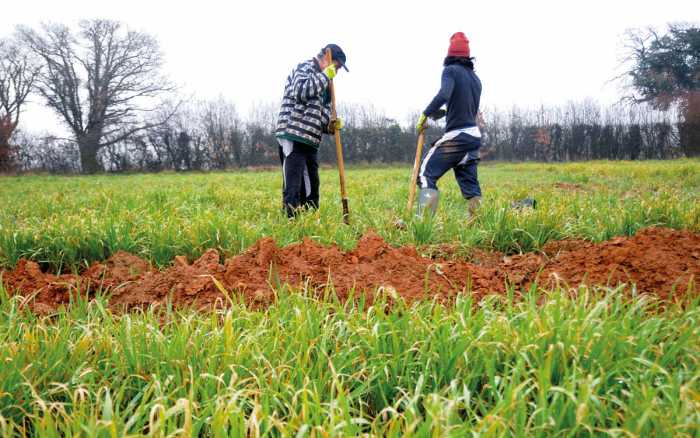 A la Ferme Emmaüs Maisoncelle, sur les chemins de la liberté