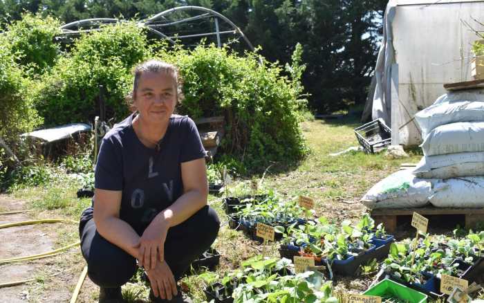 Claire Brouard des fleurs aux légumes bio