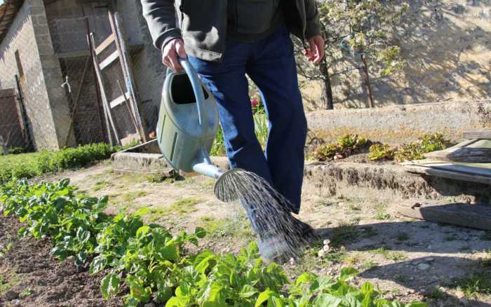 Le jardin bat en retraite