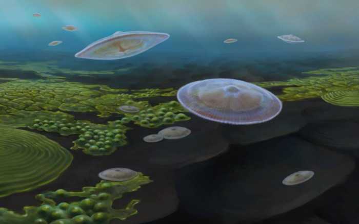Biologie - Découverte des plus vieux eucaryotes planctoniques macroscopiques