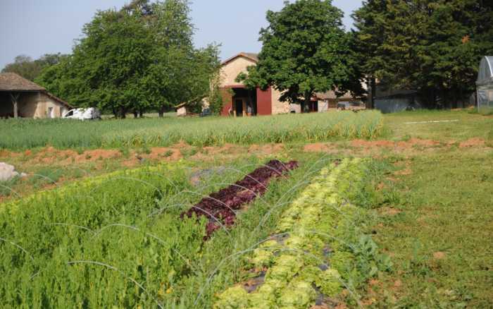 Emmaüs Maisoncelle : un printemps  à la Ferme