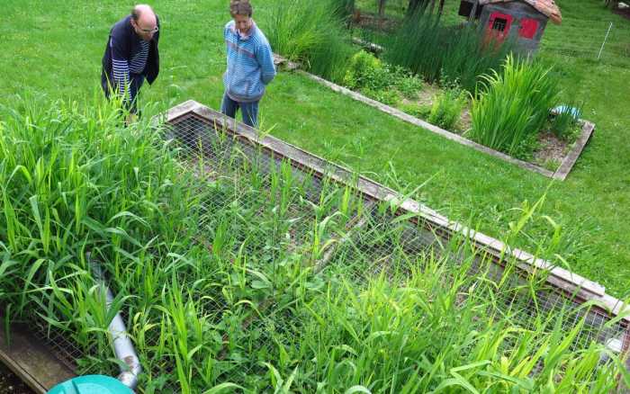 Le jardin d’assainissement  se la coule douce