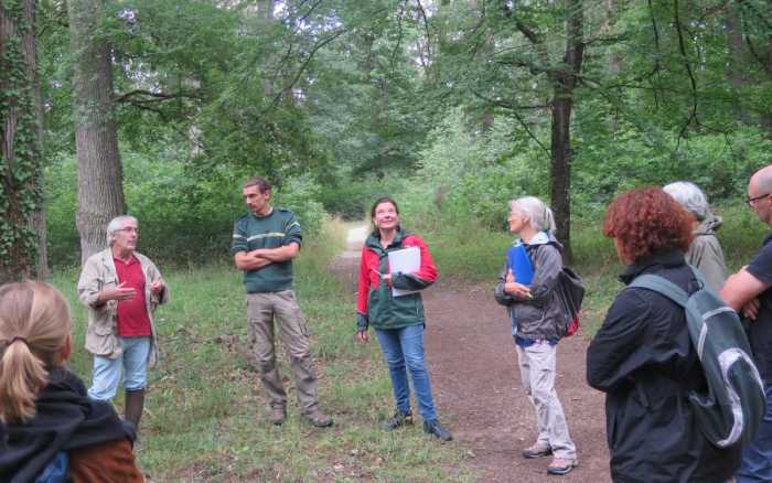 Châtellerault :  l’ONF révise son plan