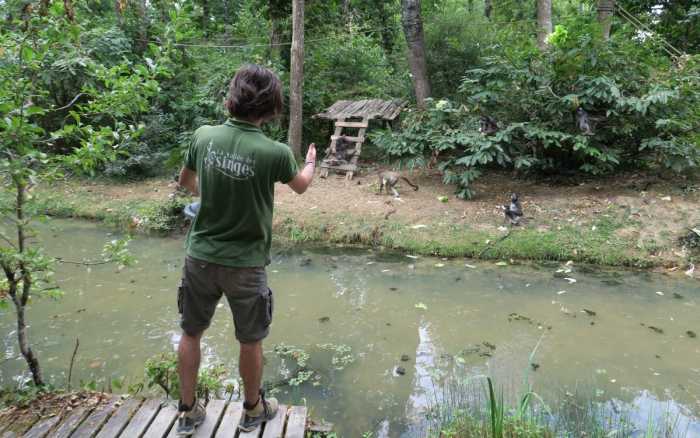 La Vallée des singes inspire les futurs soigneurs