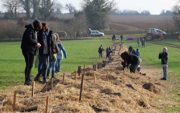 Quand la plantation de haies et d'arbres favorise la biodiversité dans la Vienne