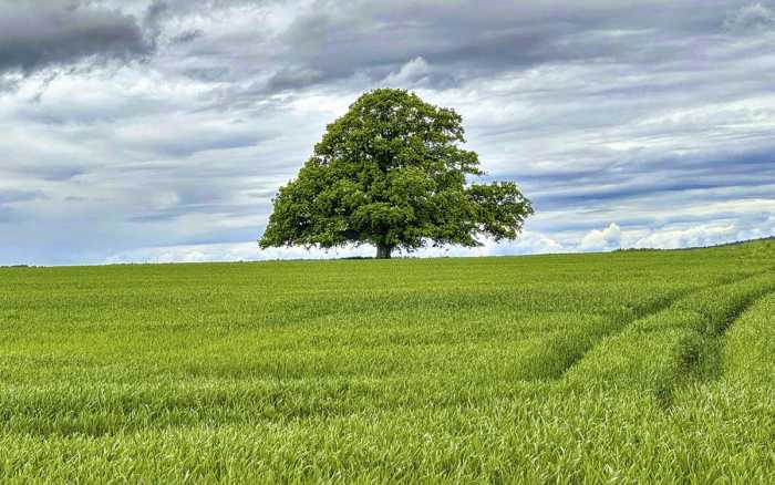 L’importance d’être constant