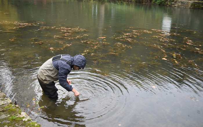 La flore des rivières à la loupe