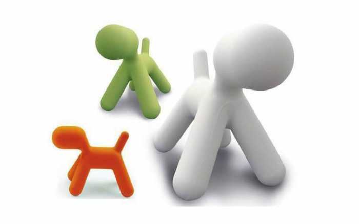 Le chien Puppy, ludique  et coloré