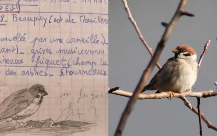 En relisant mes vieux carnets