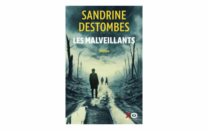 Les malveillants de Sandrine  Destombes