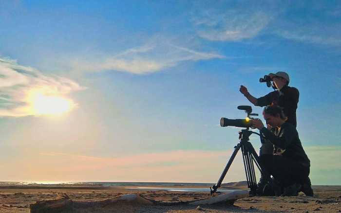 La vie sous les dunes