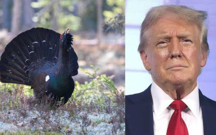 Que faire des reliques ?