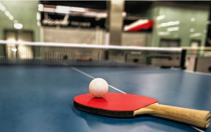 Tennis de table/Play-offs - Le Ttacc s'impose face à Saint-Quentin (3-1)