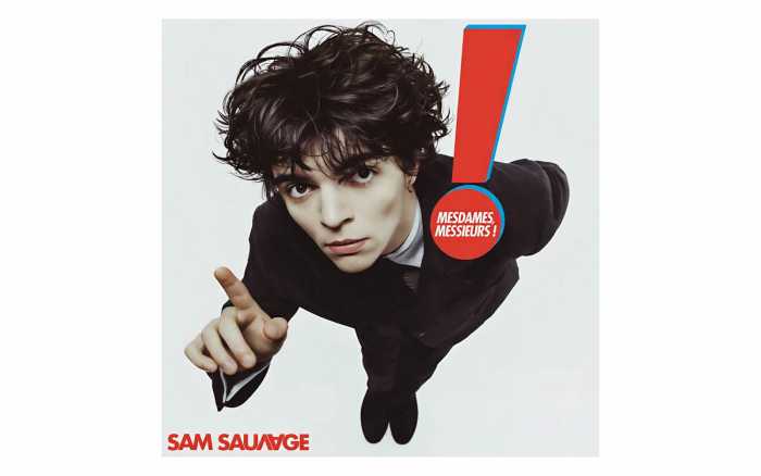 Sam Sauvage, parfait hybride