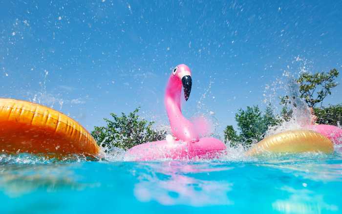 La piscine retrouve des couleurs