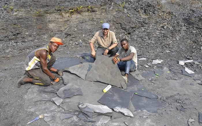 Abderrazak El Albani : « Personne n’échappe à la dégradation de l’environnement »