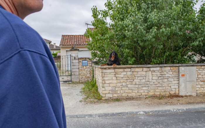 Chien méchant, facteur méfiant