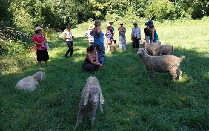 Entreprendre au féminin  en milieu rural