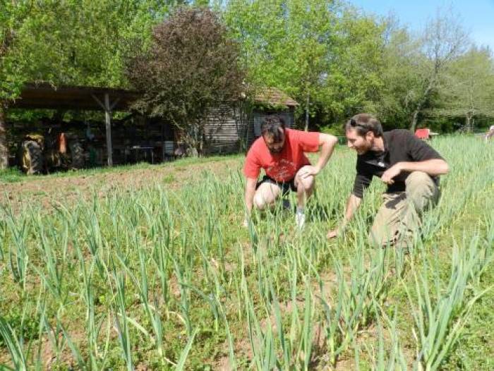 L’union fait la force