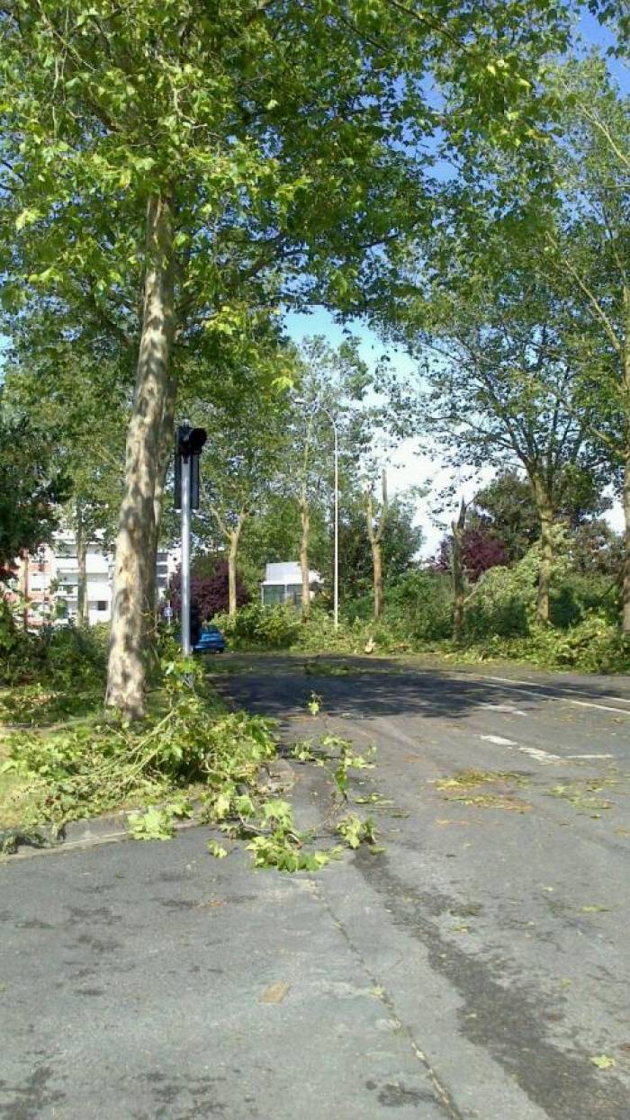  Tempête sur la Vienne : plus de 400 interventions des pompiers    